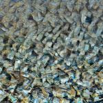 Bitcoin price drops below $65,000